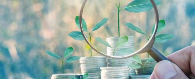 Common Traps Laid By Business Buyers